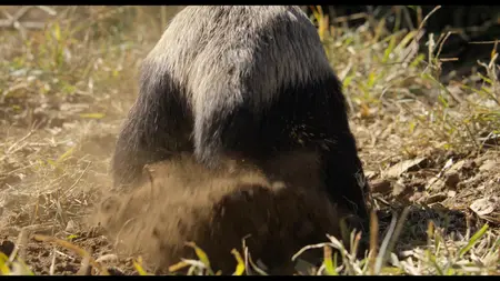 Underdogs S01E01