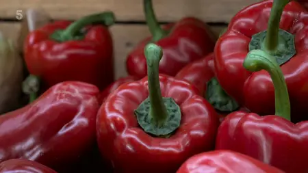 Ch5. - Fresh vs Frozen: Which is Better? (2024)