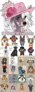 Fashion Dogs and Cats - 25 Eps