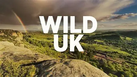 BBC - Wild UK: Series 1 (2017)