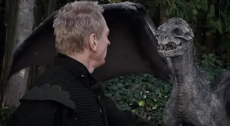 Beyond Sherwood Forest (2009)