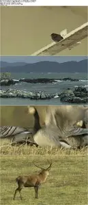 Hebrides: Islands on the Edge (2013)