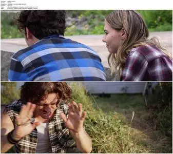 The Shed (2019)