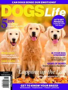 Dogs Life - May 2018