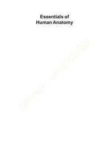 Essentials of Human Anatomy