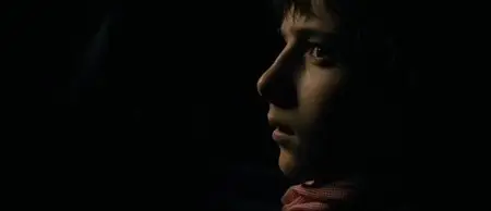 Cyanure / Cyanide (2013)