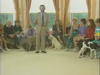 Training The Companion Dog (Set of 4 DVDs)