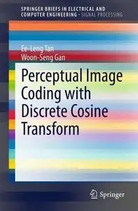 Perceptual Image Coding with Discrete Cosine Transform (Repost)