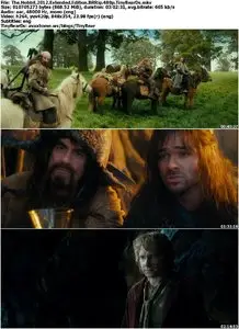 The Hobbit: An Unexpected Journey (2012) Extended Edition