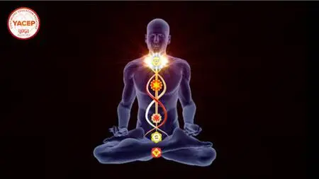 Pranayama, Mudra, Bandha & Meditation Course - Yoga Alliance