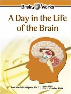 A Day in the Life of the Brain (Brain Works) (repost)