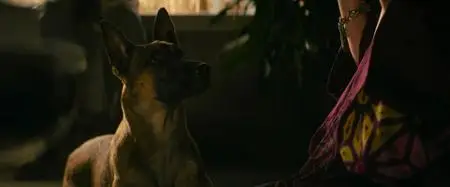 Dog (2022)