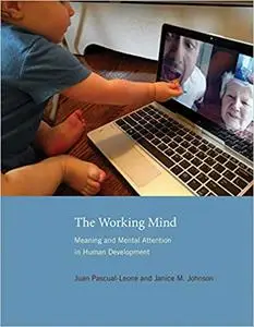 The Working Mind: Meaning and Mental Attention in Human Development
