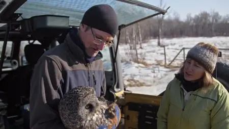 CBC - The Nature of Things with David Suzuki: Nature's Big Year (2021)