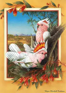 Australian Birds painting