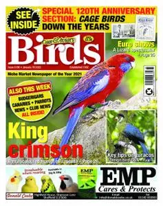 Cage & Aviary Birds – 19 January 2022