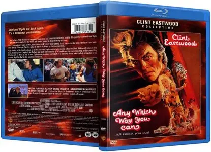 Any Which Way You Can (1980)