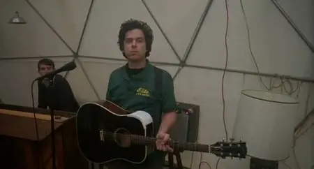 American Sunshine (2010)