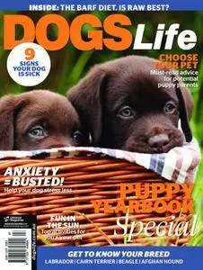 Dogs Life - December 2015