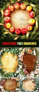 Stock Photo - Christmas Tree Branches on Wood