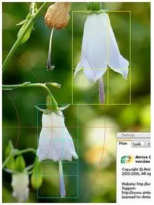 Atrise Golden Section v4.0.4 