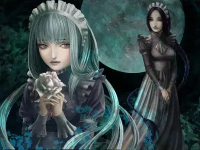 The House in Fata Morgana (2016)