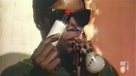 Cocaine Cowboys 2 (2008)