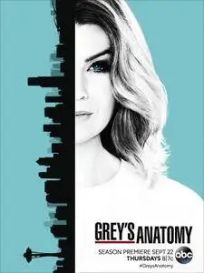 Grey's Anatomy S13E11 (2017)