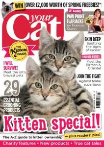 Your Cat - March 2016