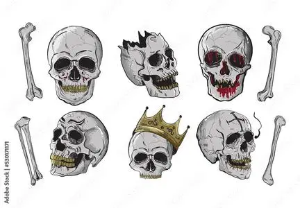 Skull Skeleton Illustrations 530171171