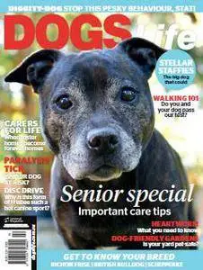 Dogs Life - September - October 2016