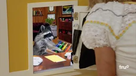 At Home with Amy Sedaris S01E02