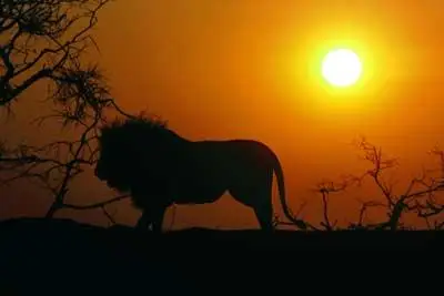 Webshots posters - Africa