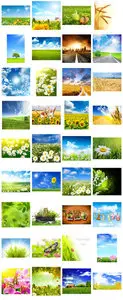 Super nature collection. All my posts