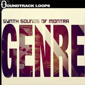 Soundtrack Loops Synth Sounds of Montra MULTiFORMAT