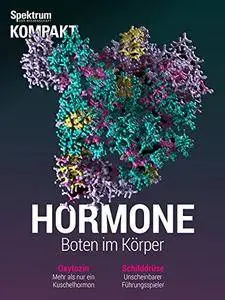Hormone: Boten im Körper