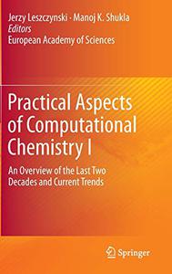 Practical Aspects of Computational Chemistry I: An Overview of the Last Two Decades and Current Trends