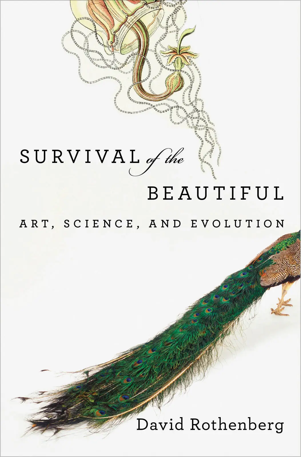 Survival of the Beautiful: Art, Science, and Evolution (repost)