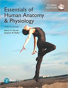 Essentials of Human Anatomy & Physiology, Global Edition Ed 12