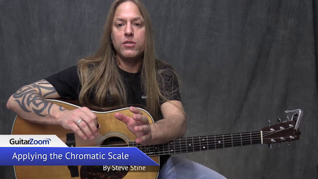 Guitar Zoom - Play Acoustic Now with Steve Stine (2016)