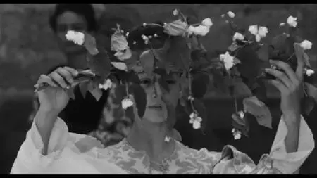The Gospel According to St. Matthew / Il vangelo secondo Matteo (1964) [The Criterion Collection]