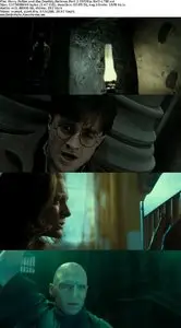 Harry Potter and the Deathly Hallows: Part 2 (2011)