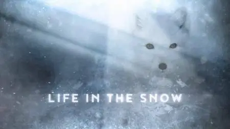 BBC - Life in the Snow (2016)
