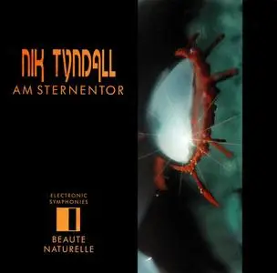 Nik Tyndall - Am Sternentor (1994)