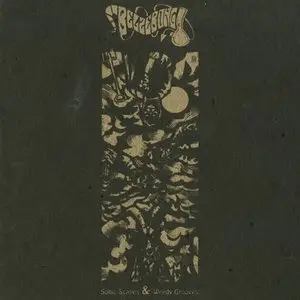 Belzebong - Sonic Scapes & Weedy Grooves (2011)