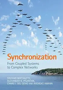 Synchronization: From Coupled Systems to Complex Networks