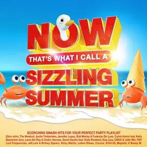 VA - Now That's What I Call A Sizzling Summer (2023)