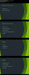 Master Website Design and Development Using WordPress
