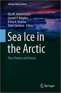 Sea Ice in the Arctic: Past, Present and Future