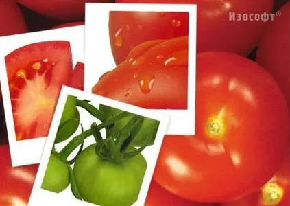 Izosoft Vol. mc15 - Tomatoes